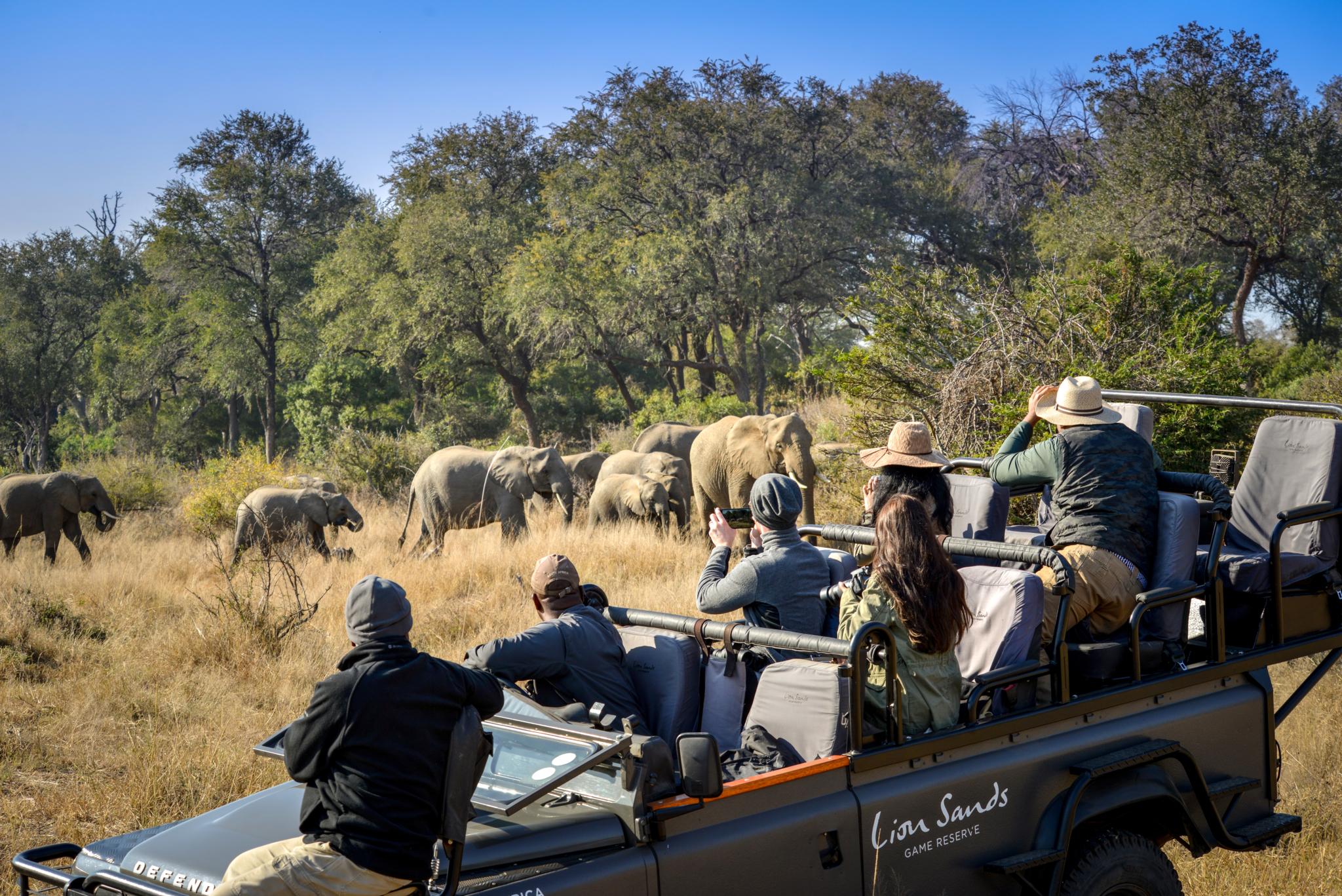 Lion Sands Tinga Lodge Skukuza Eksteriør billede