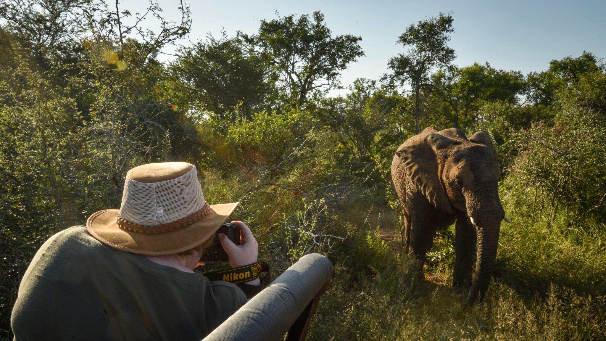 Lion Sands Tinga Lodge Skukuza Eksteriør billede